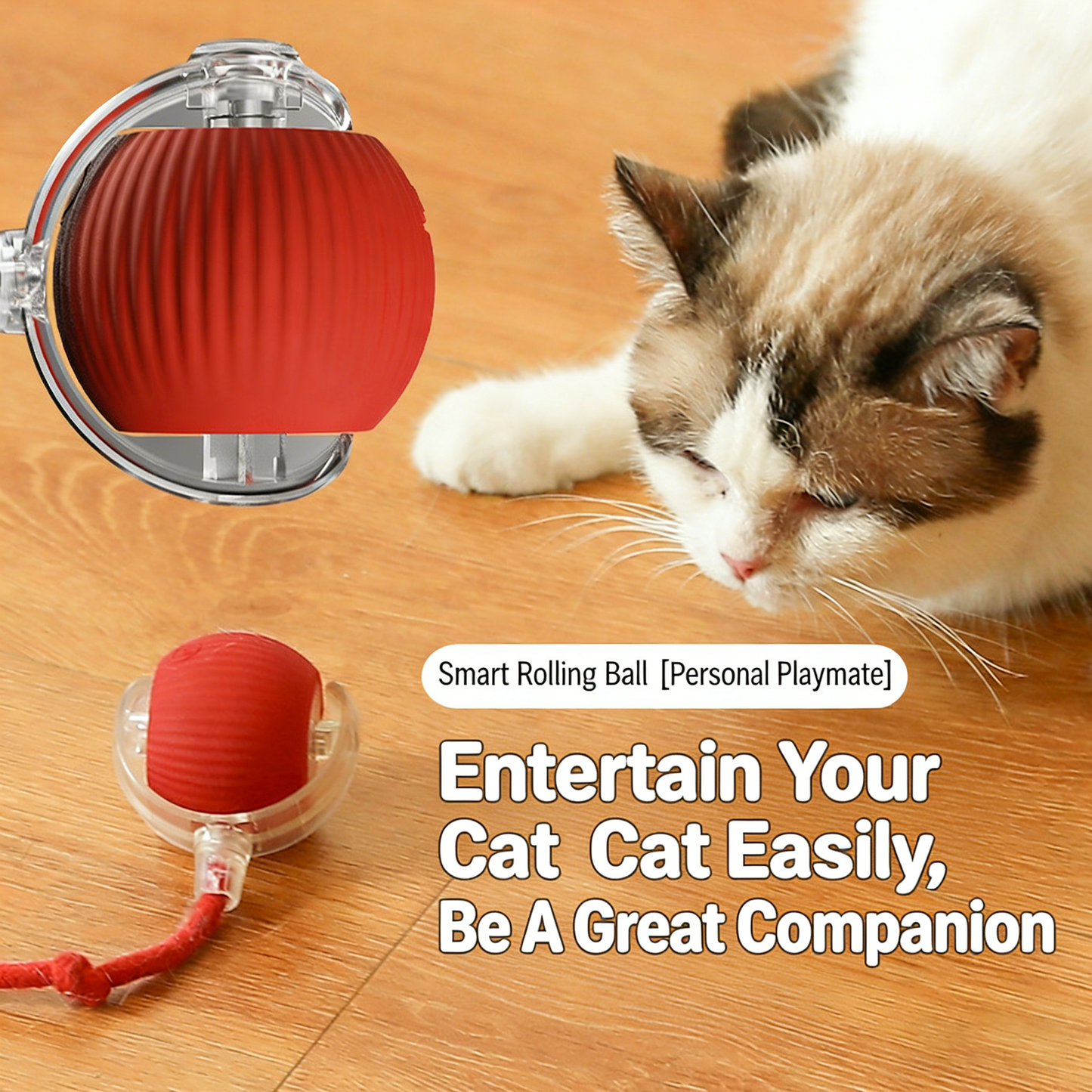 IrisBeautyCo™ Interactive Cat Teaser Ball