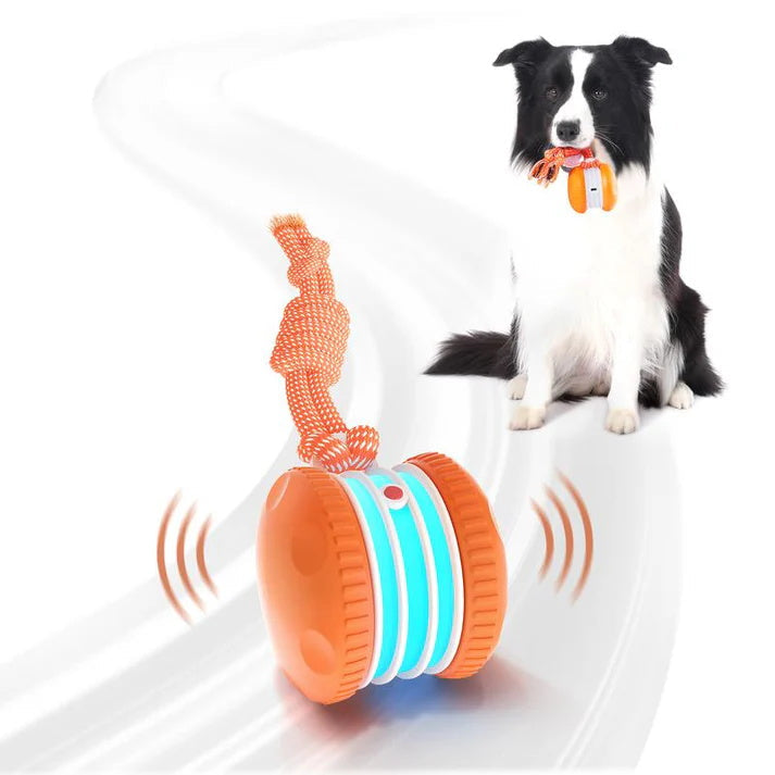 🐶The Irisbeautyco™ – Keep Your Pet Relaxed, Happy & Content 🐾