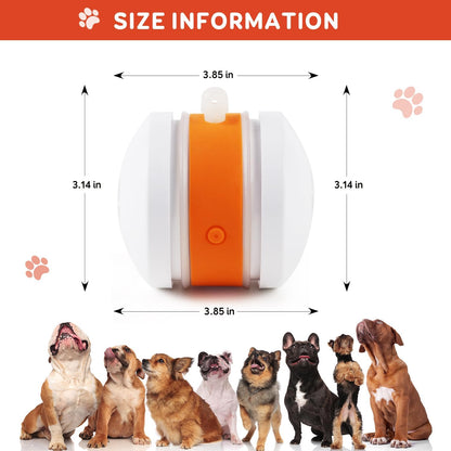 🐶The Irisbeautyco™ – Keep Your Pet Relaxed, Happy & Content 🐾