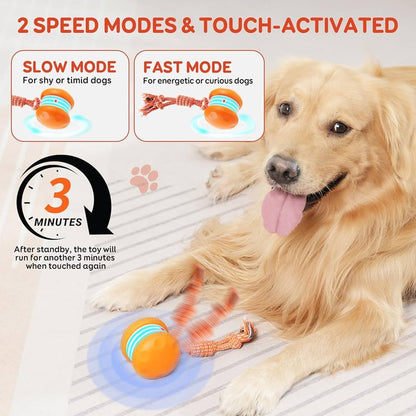 🐶The Irisbeautyco™ – Keep Your Pet Relaxed, Happy & Content 🐾