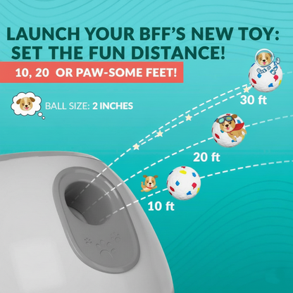 BounceBuddy