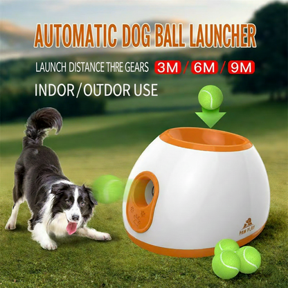 BounceBuddy